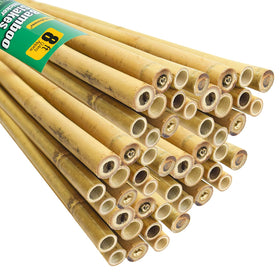 Jollybower bamboo stakes in 93-inch length provide sturdy garden support.