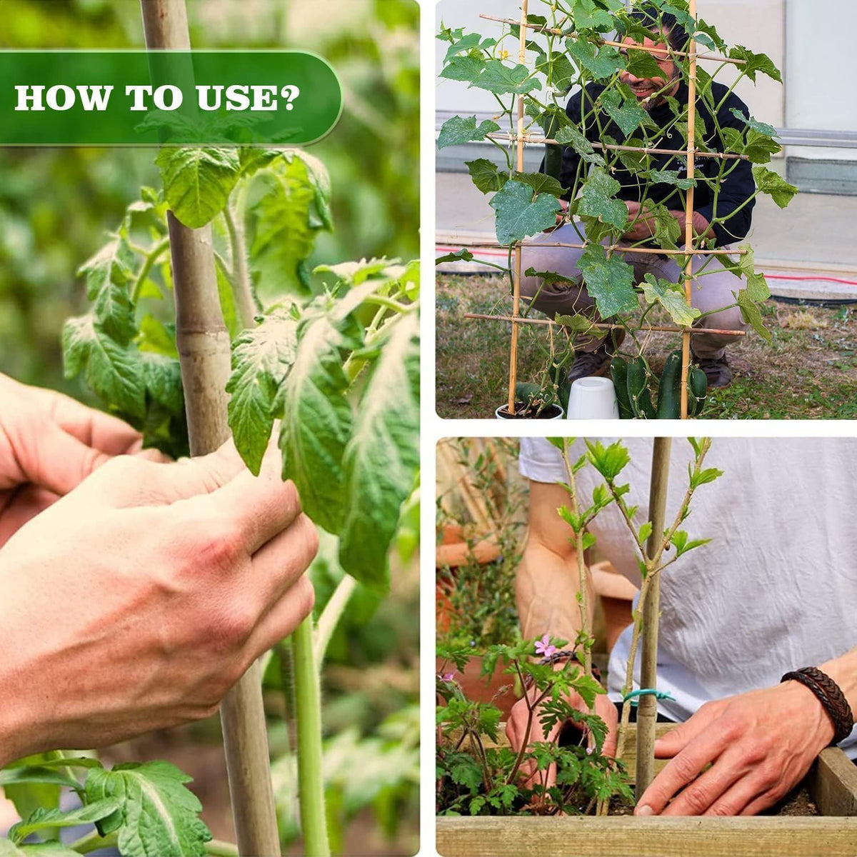 Jollybower bamboo stakes in a flower bed providing natural plant support