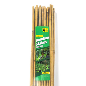 Jollybower bamboo stakes for beans and flowers in bed