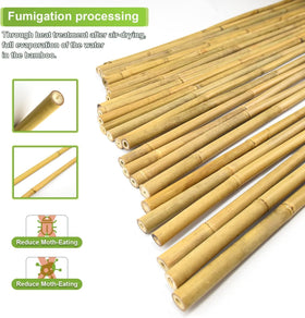 Jollybower bamboo stakes inserted in soil forming a trellis for climbing plants