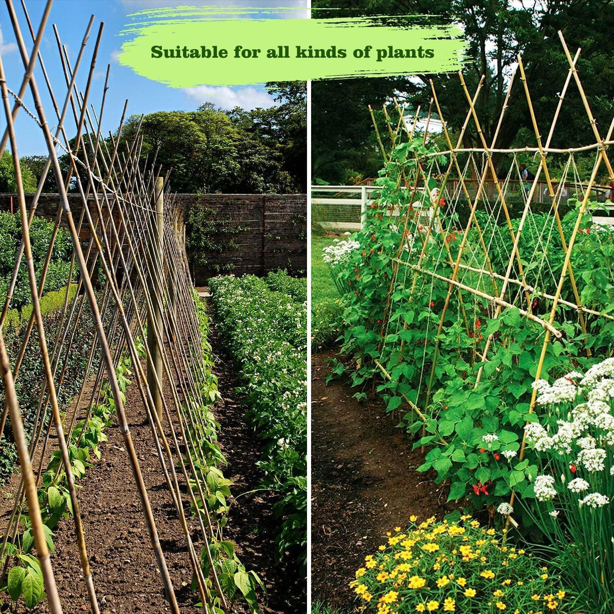 Jollybower 50 pack bamboo stakes ready for quick setup and use