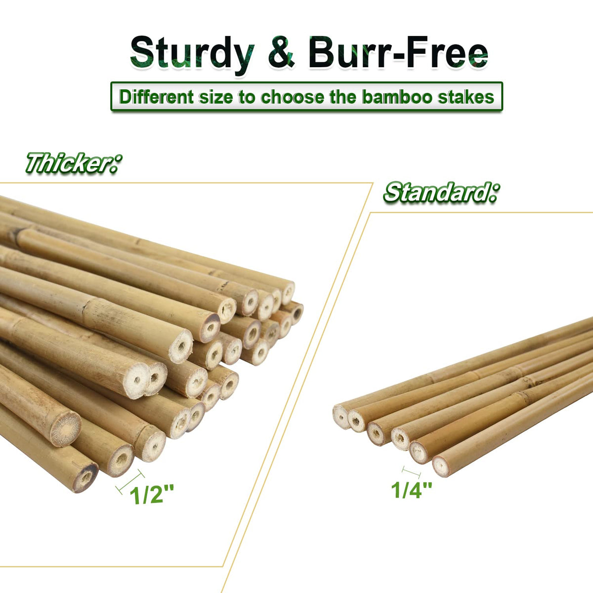 Jollybower durable bamboo stakes with smooth surface for safe handling