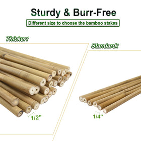 Jollybower durable bamboo stakes with smooth surface for safe handling
