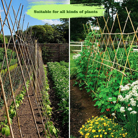 Eco-friendly garden stakes that support healthy plant growth.