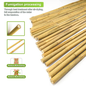 Jollybower natural bamboo plant support for climbing plants