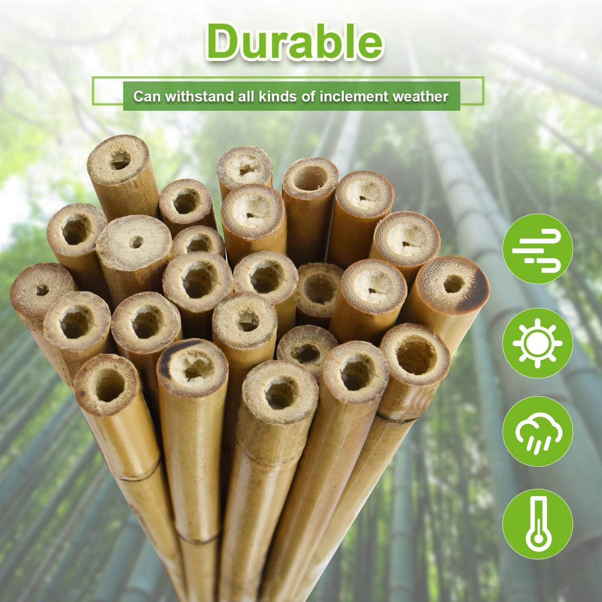 Jollybower natural bamboo emphasizes eco-friendly garden materials