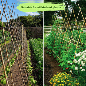 Jollybower 25-pack 4ft bamboo rods neatly packaged for easy use