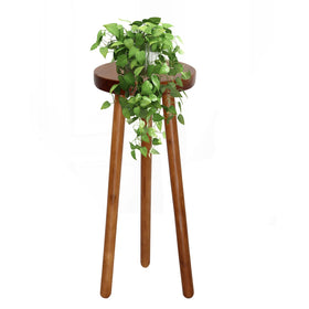 JOLLYMER packaging-friendly teak stand ships ready for setup
