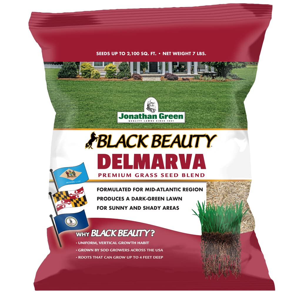 Jonathan Green Black Beauty Delmarva seed bag showing premium tall fescue blend for lawns