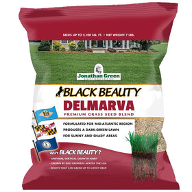 Jonathan Green Black Beauty Delmarva seed bag showing premium tall fescue blend for lawns