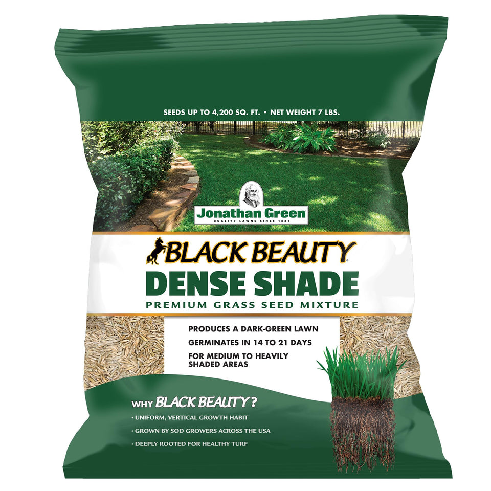 Jonathan Green Black Beauty Dense Shade Seed bag for shade-tolerant lawns.