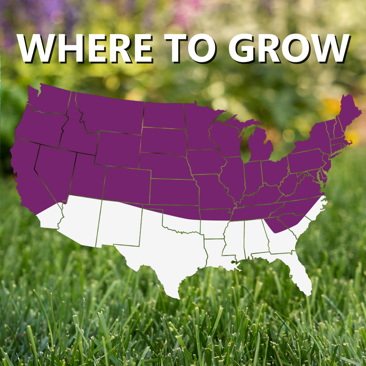 Jonathan Green Black Beauty Heavy Traffic seed coverage visual
