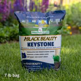 Dense dark-green Keystone PA lawn visual demonstrating shade tolerance and strong growth.