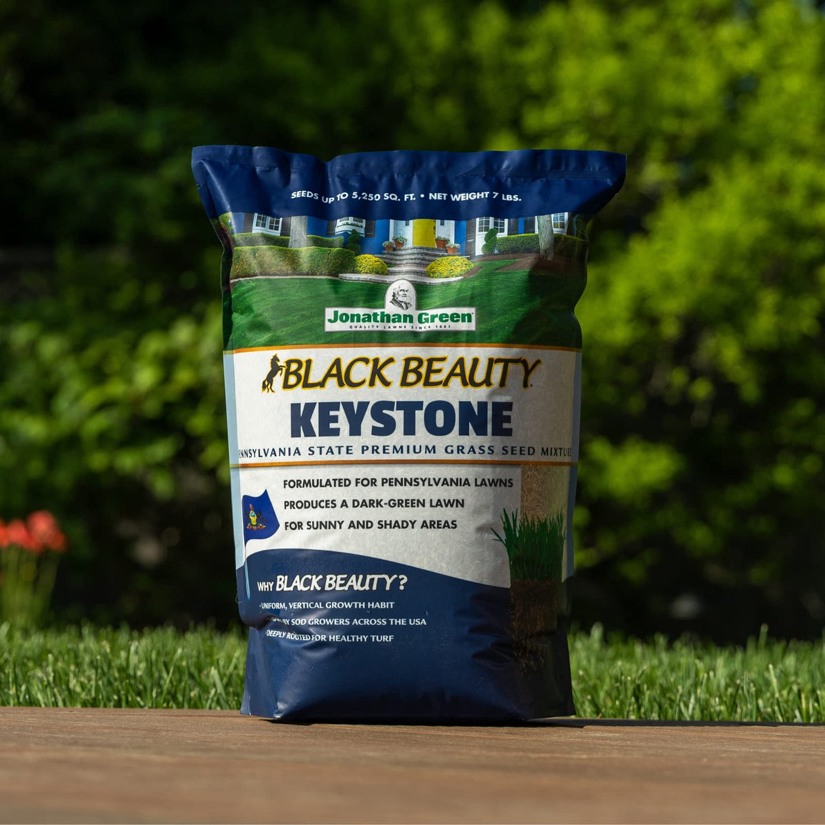 Tall fescues, perennial ryegrass, and Kentucky bluegrass blend in action for a resilient Keystone PA lawn.