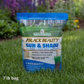 Jonathan Green Black Beauty Sun & Shade overseeding provides even coverage across bare spots