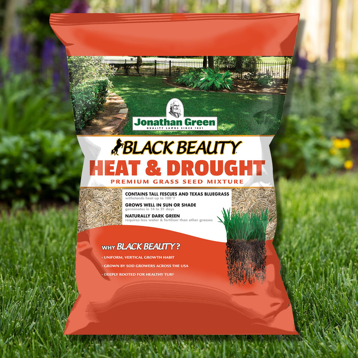 Jonathan Green Black Beauty seed germination in 14–21 days with robust growth