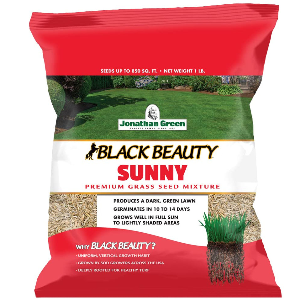 Jonathan Green Black Beauty Sunny Seed packaging shows heat-tolerant cool-season mix for sunny lawns.