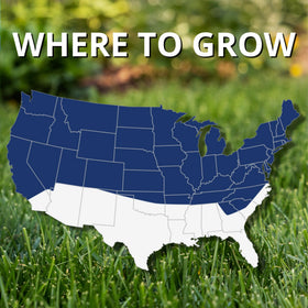 Jonathan Green Black Beauty Ultra Grass Seed thrives in sun to partial shade.