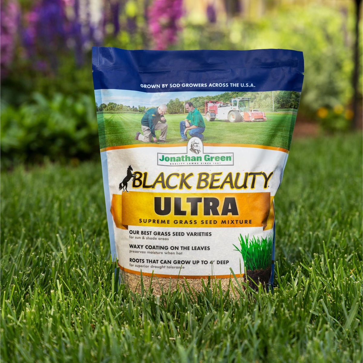 Jonathan Green Black Beauty Ultra Grass Seed features wax coated leaves for durability.