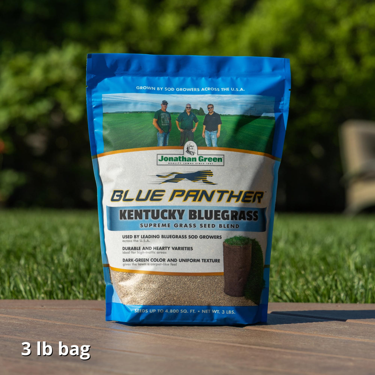 Jonathan Green Blue Panther seed creates dense, dark-green turf