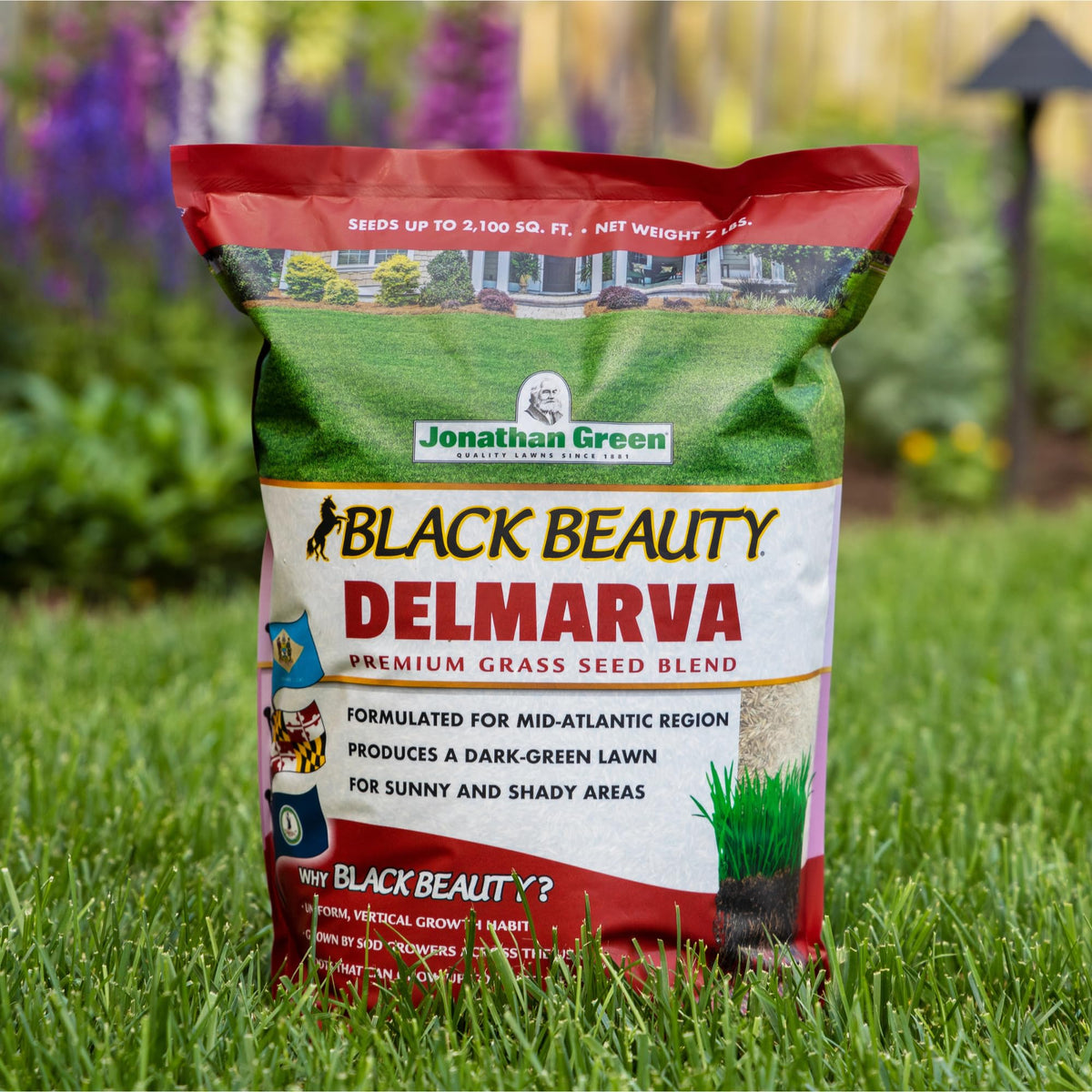 Jonathan Green Delmarva seed yields dark green, uniform lawn appeal