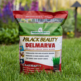 Jonathan Green Delmarva seed yields dark green, uniform lawn appeal