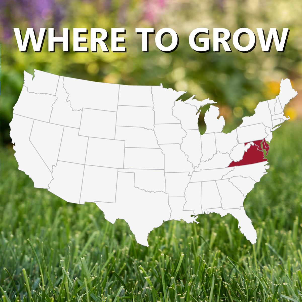 Jonathan Green Delmarva drought-tolerant seed supports green lawn under dry conditions