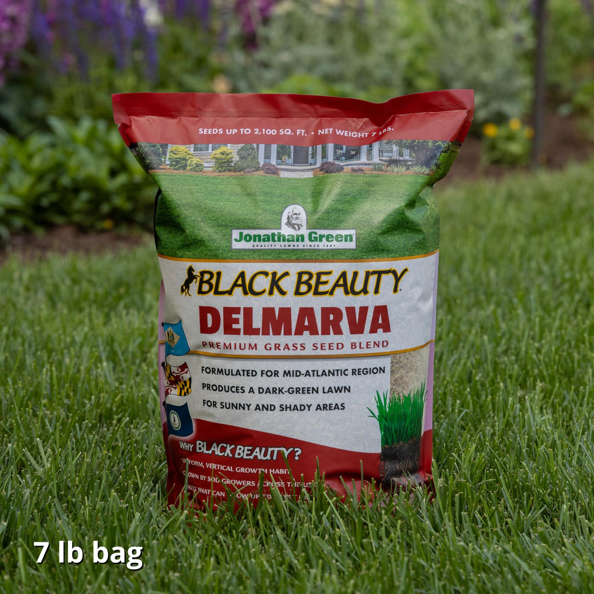 Jonathan Green Delmarva lawn in sun and shade illustrates versatile performance