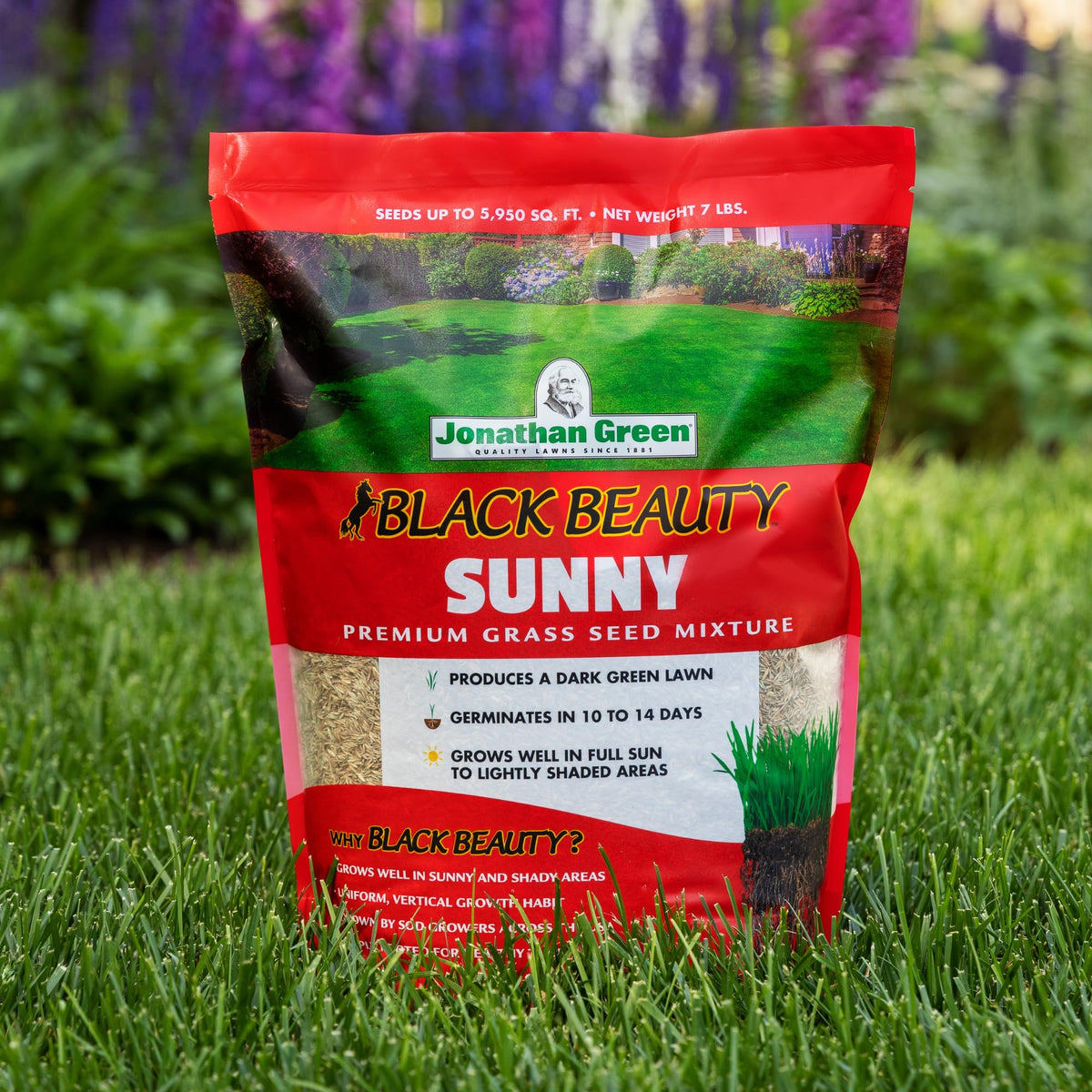 Jonathan Green Black Beauty Sunny Grass Seed with drought-resistant blades for drier summers.