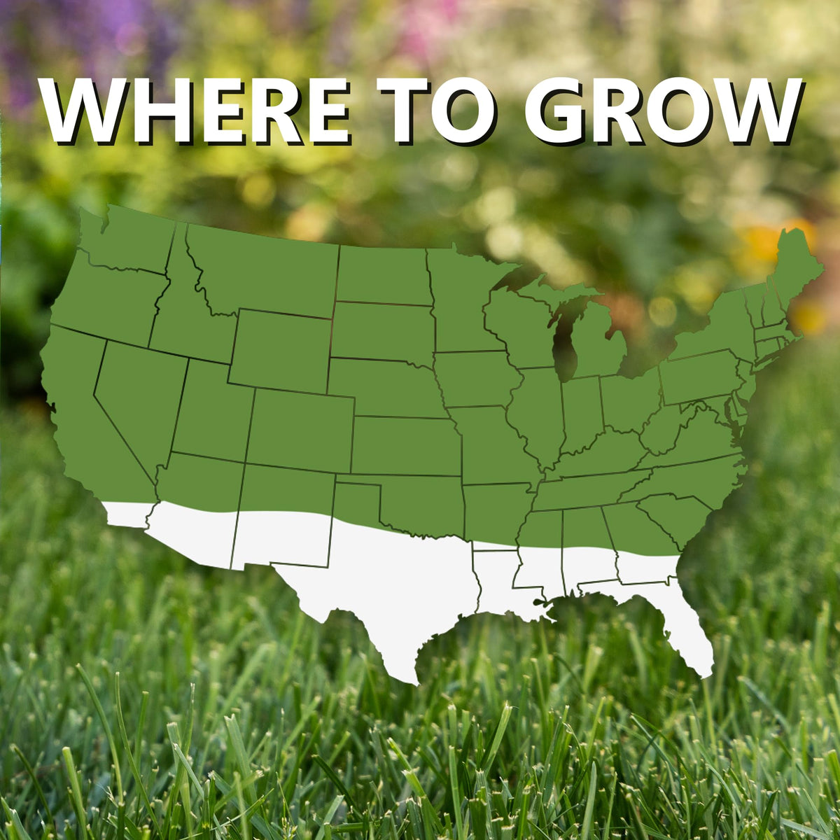 Jonathan Green Fast Grow Seed full sun to shade compatibility supports diverse yard conditions