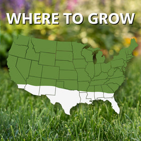 Jonathan Green Fast Grow Seed full sun to shade compatibility supports diverse yard conditions