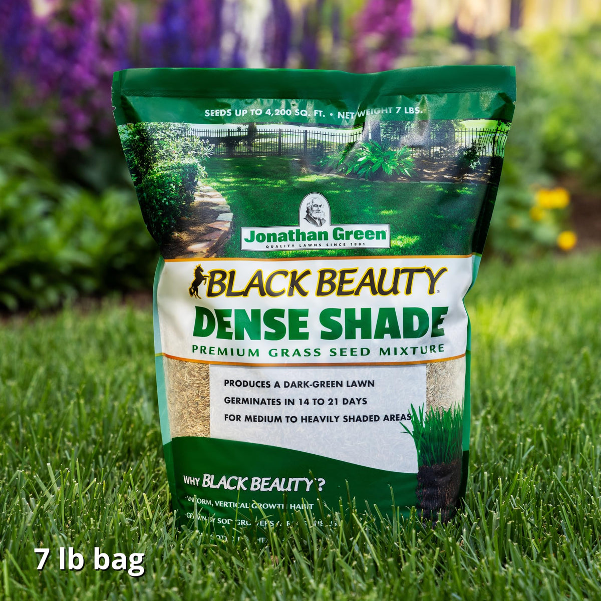 Jonathan Green Four cool-season grasses blend improves shade tolerance and versatility.