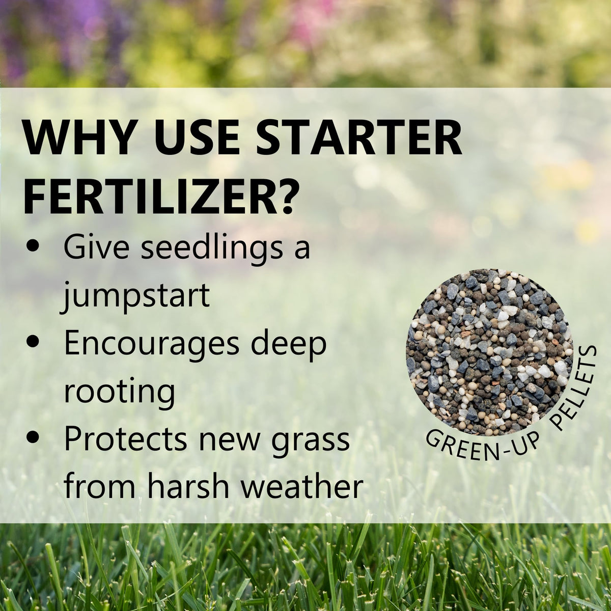 Humates and nutrients in Green-Up improve soil readiness for new grass.