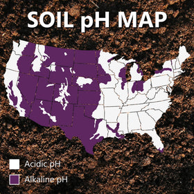 Loosened soil texture after MAG-I-CAL PLUS application shows crumbly structure.