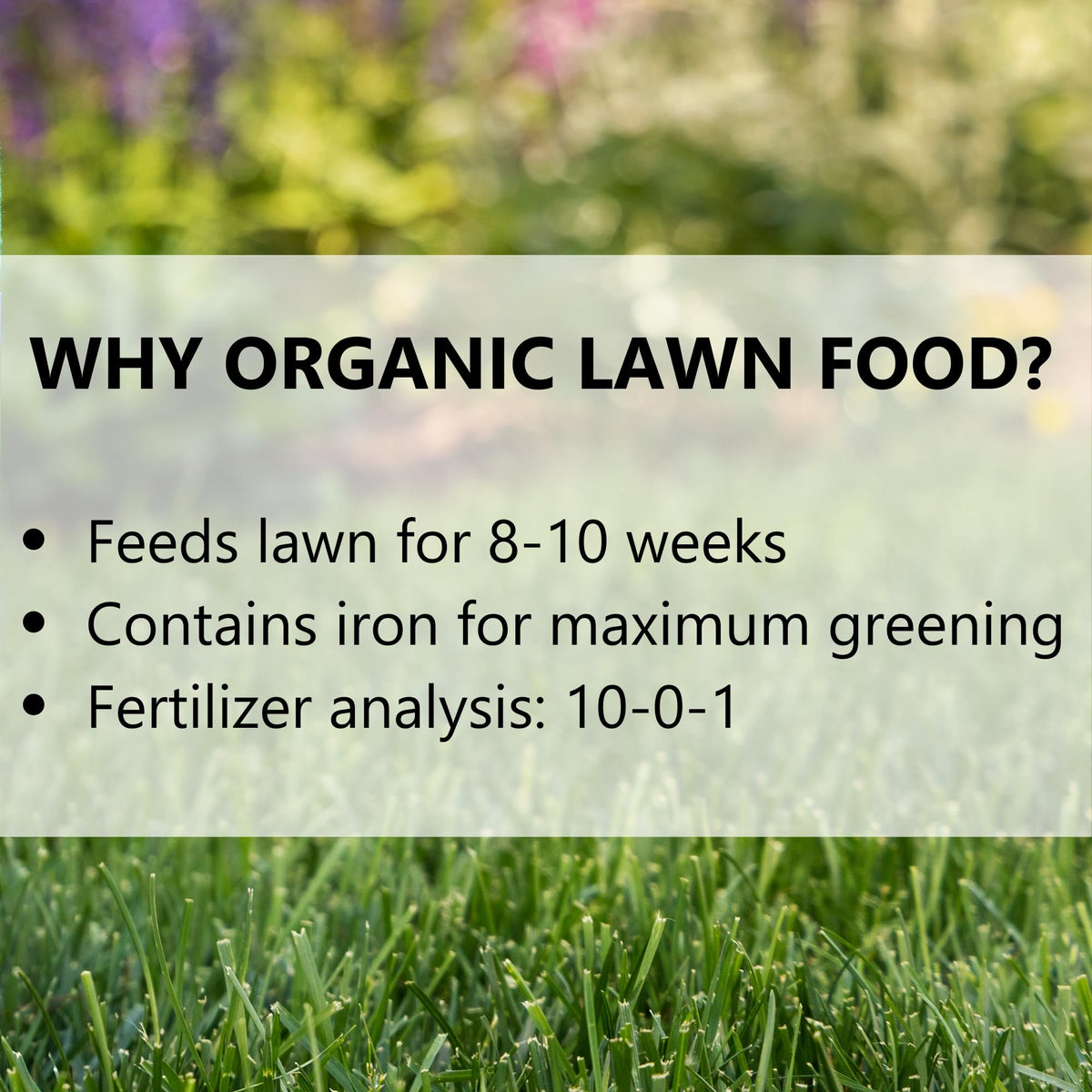 Jonathan Green Organic Lawn Food lush green lawn after treatment.