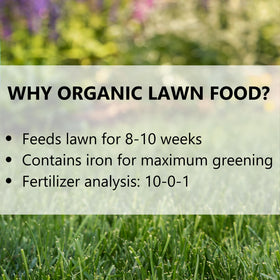 Lush green turf after applying Jonathan Green Organic Lawn Food