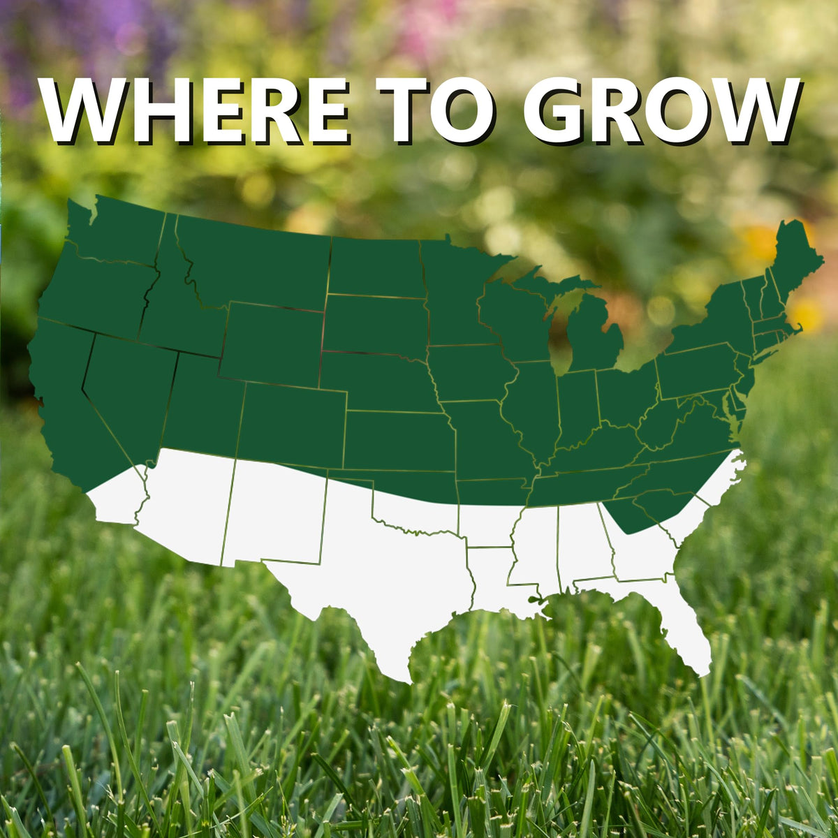 Jonathan Green Seed covers up to 2,100 sq ft for new lawns.