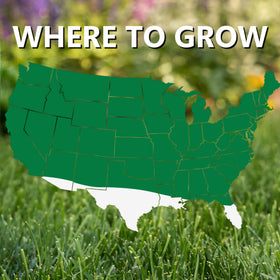 Dark-green color from Jonathan Green TRI-RYE seed for a healthier-looking lawn.