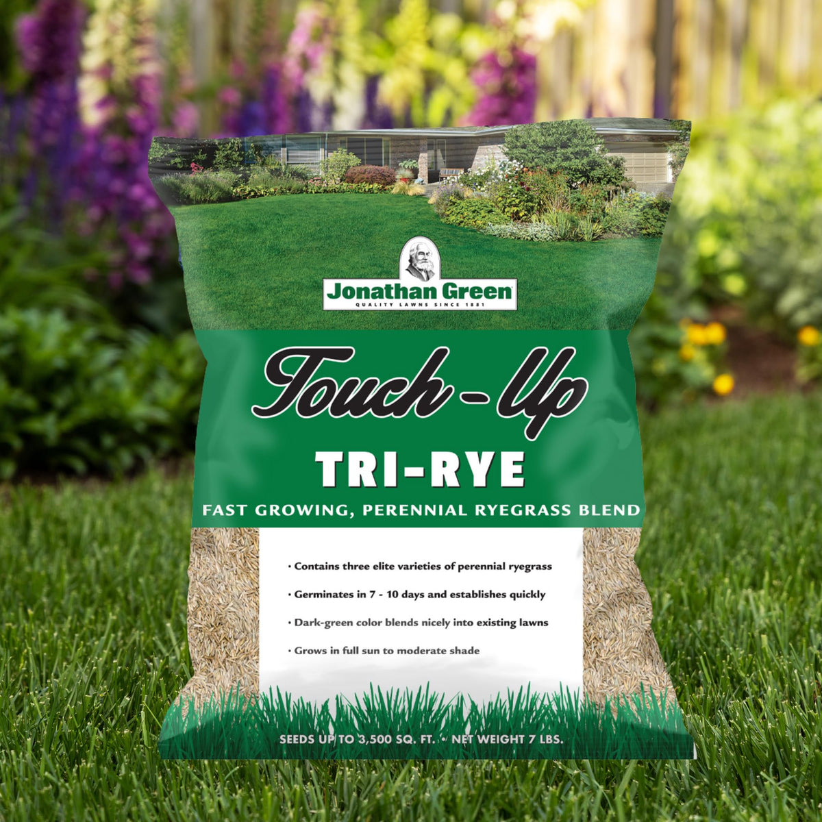 Spread Jonathan Green TRI-RYE seed over bare patches for dense, even turf.