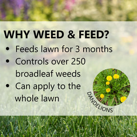 Jonathan Green Veri-Green targets dandelions and clover for a cleaner lawn.