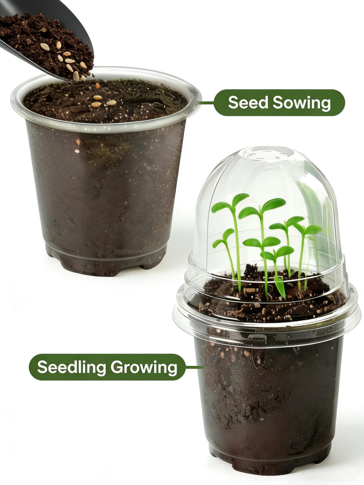 JOPY humidity dome with vented lid maintains consistent soil temperature.