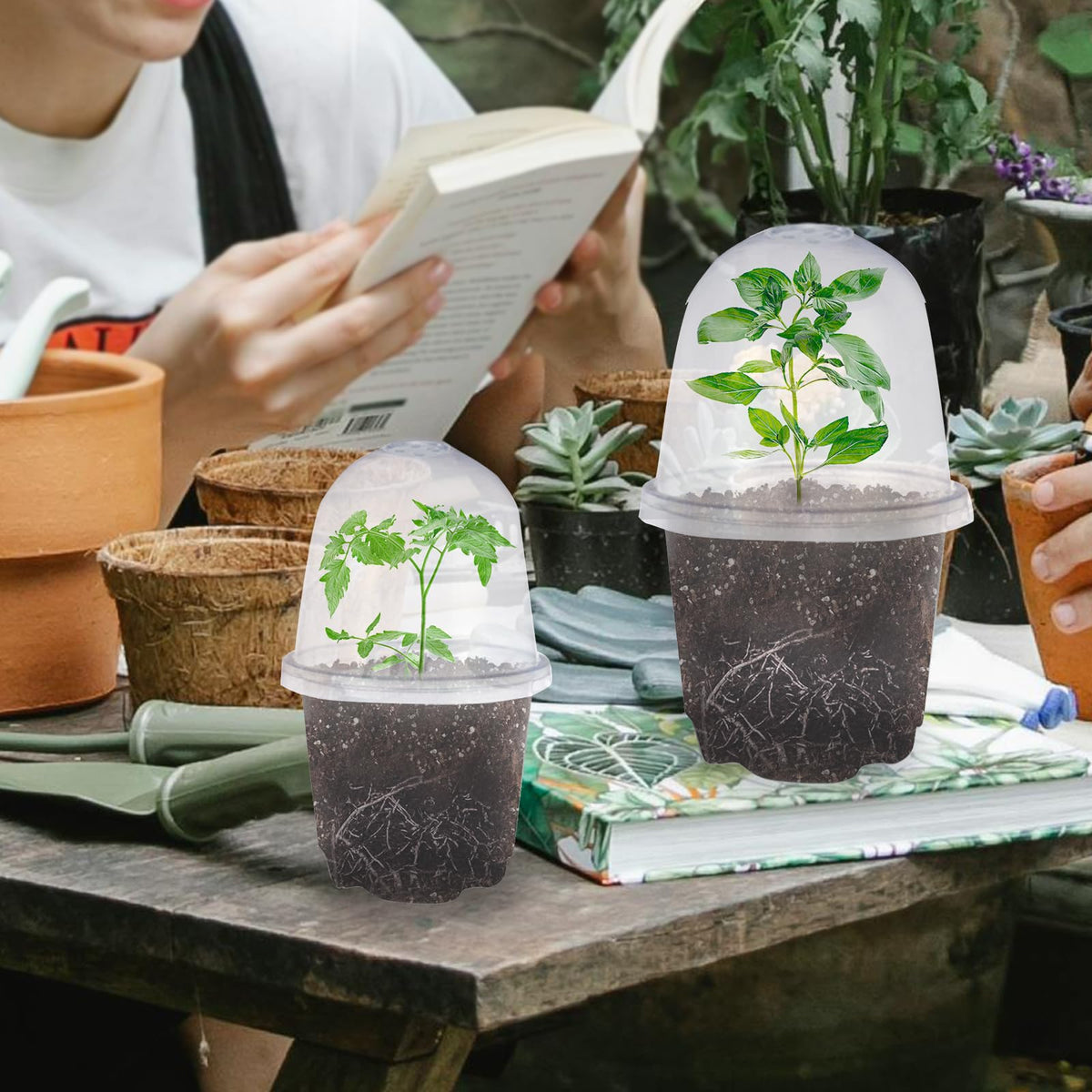 JOPY seedling pot on a sunny windowsill for indoor gardening.
