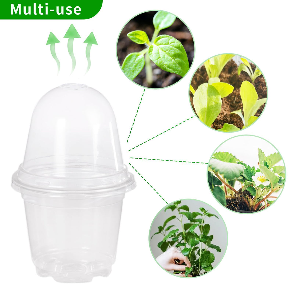 JOPY 4-inch plastic nursery pot with drainage holes for healthy roots.