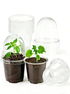 JOPY seed starter pot with clear dome for easy germination observation.