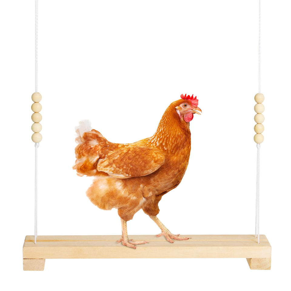 Jorewood chicken swing perch with wooden beads for safe perching and playful pecking activity.