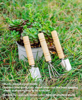 Josteve indoor gardening tools kit ideal for transplanting and pruning.