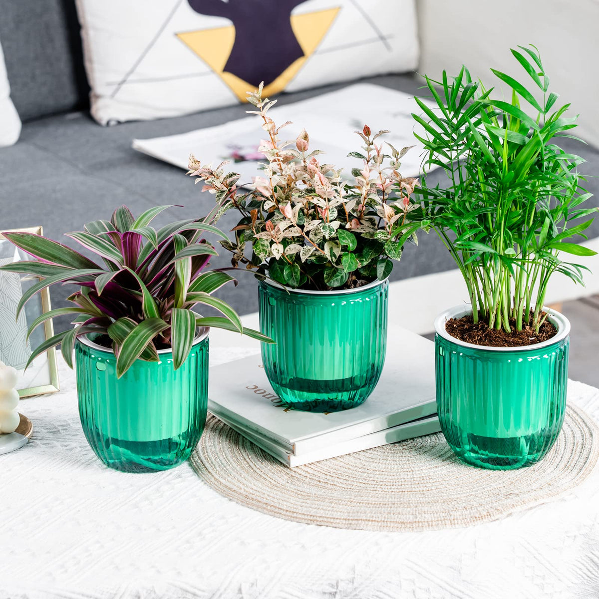 Josteve indoor-outdoor planter set for flexible decorating options