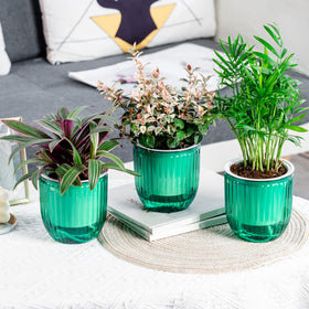Josteve indoor-outdoor planter set for flexible decorating options