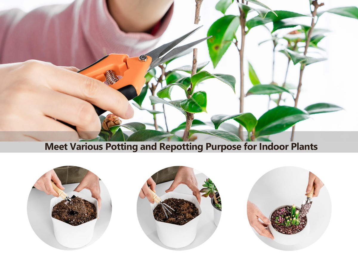 Josteve succulent tools set offers precise trimming for small plants.