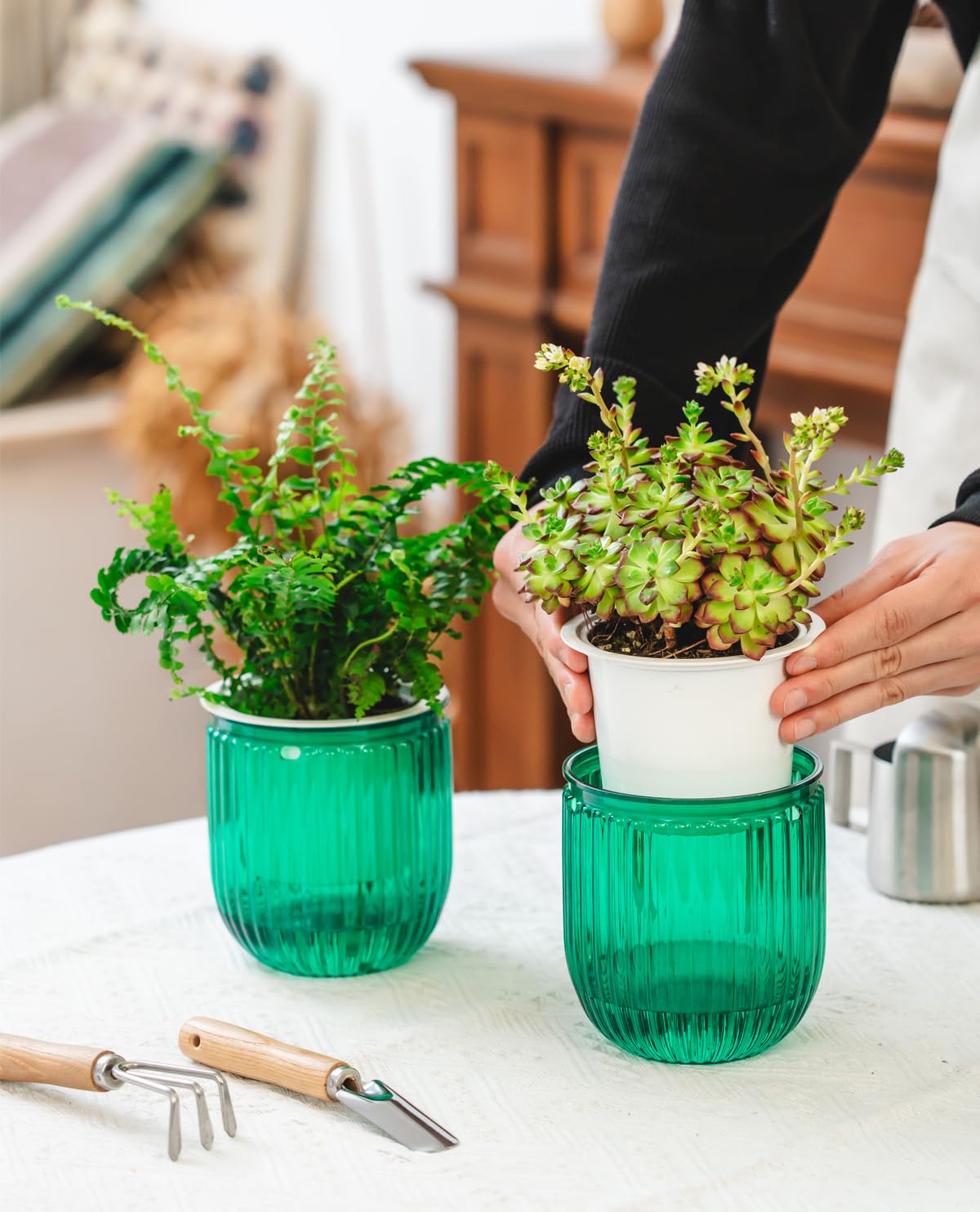 Josteve wick-based self-watering system extends time between refills